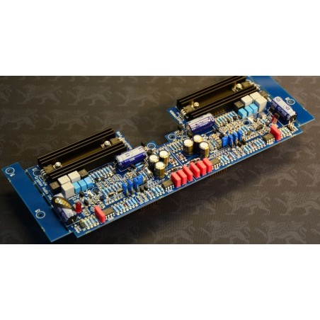 Gryphon PS2-S RIAA MM/MC - Modulo Fono opzionale