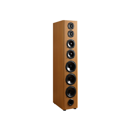 Bryston Model A1 Coppia diffusori da pavimento