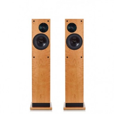ProAc Response D 30 DS Coppia diffusori da pavimento