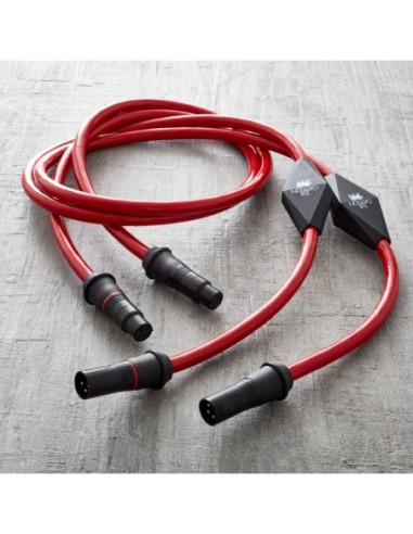 Gryphon Rosso Analog Interconnect - Coppia cavi di interconnessione