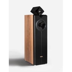 Acapella Harlekin 2 acero