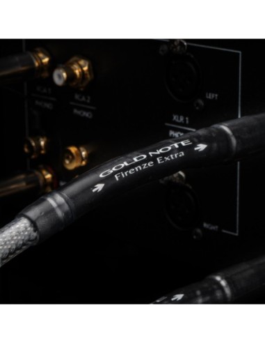 Gold Note FIRENZE EXTRA (XLR) 1m - Coppia cavi di Interconnessione