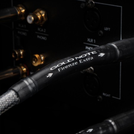 Gold Note FIRENZE EXTRA (XLR) 1m