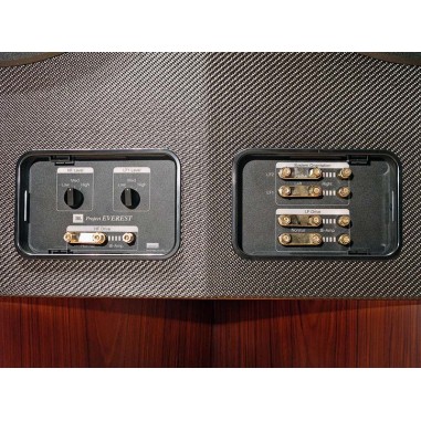 JBL EVEREST DD67000 Palissandro - Coppia diffusori da pavimento