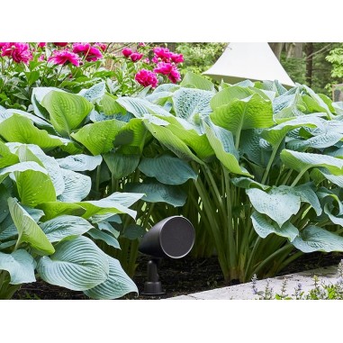 MartinLogan Outdoor Sat 60 - Coppia diffusori da esterno