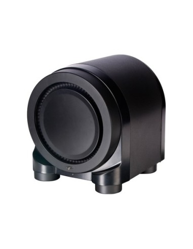 Paradigm SEISMIC 110 - Subwoofer