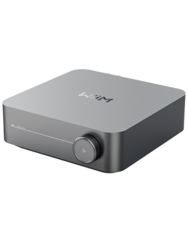 WiiM Amp Pro - Amplificatore Streamer di rete con DAC