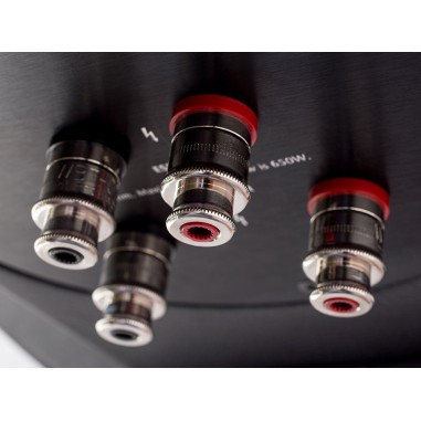 MartinLogan Neolith Arctic Silver SX - Coppia diffusori da pavimento