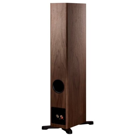 Dynaudio Evoke 30 Noce naturale - Coppia diffusori da Pavimento