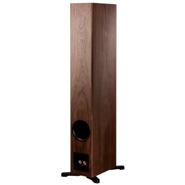 Dynaudio Evoke 50 Noce naturale - Coppia diffusori da Pavimento