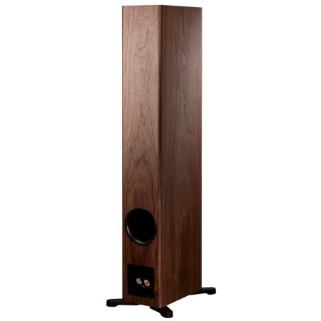 Dynaudio Evoke 50 Noce naturale - Coppia diffusori da Pavimento