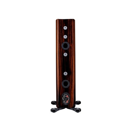 MONITOR AUDIO PLATINUM 200 3G PIANO EBONY - Coppia diffusori da pavimento