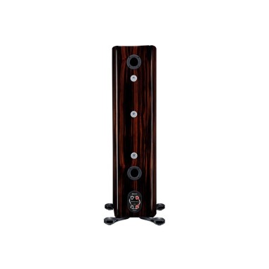 MONITOR AUDIO PLATINUM 300 3G PIANO EBONY - Coppia diffusori da pavimento