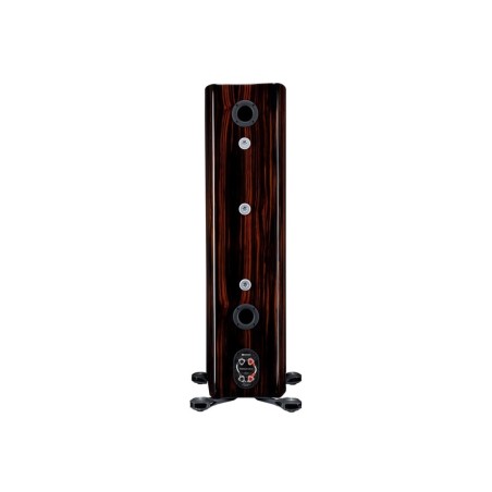 MONITOR AUDIO PLATINUM 300 3G PIANO EBONY - Coppia diffusori da pavimento