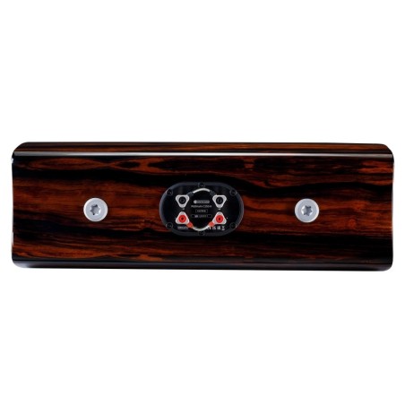 MONITOR AUDIO PLATINUM C250 3G PIANO EBONY - Diffusore centrale