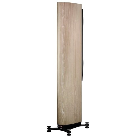 Dynaudio Confidence 50 Blonde Wood