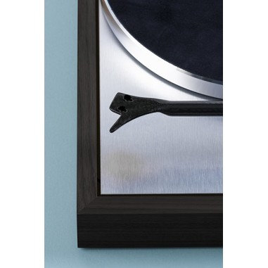 Pro-ject the classic evo eucalipto - giradischi trazione a cinghia