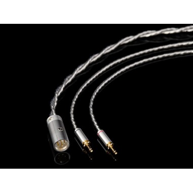 Final Audio D8000DC PRO