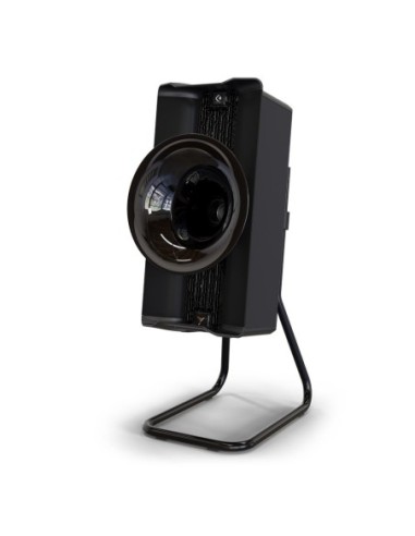 AVANTGARDE COLIBRI NEST SATELLITE BLACK - Coppia stand
