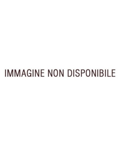 KONDO GAKUOH II - Amplificatore finale di potenza