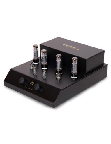 AUDIO NOTE COBRA - Amplificatore integrato valvolare