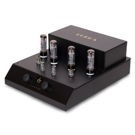 AUDIO NOTE COBRA - Amplificatore integrato valvolare