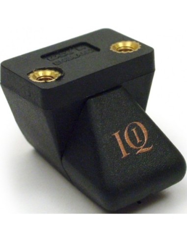 Audio note io i