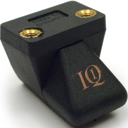 Audio note io i