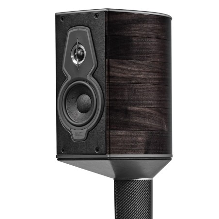 SONUS FABER GUARNERI 5G HOMAGE GRAPHITE - Coppia diffusori da supporto