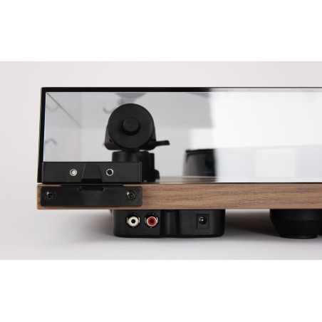 Rega PLANAR 1 PLUS noce - Giradischi
