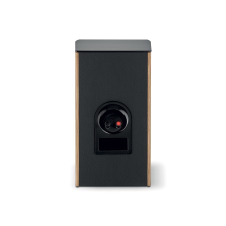 Focal ARIA EVO X N1 noce chiaro
