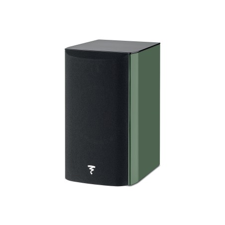 Focal ARIA EVO X N1 verde muschio hg