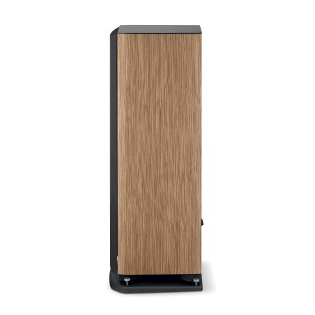 Focal ARIA EVO X N2 noce chiaro