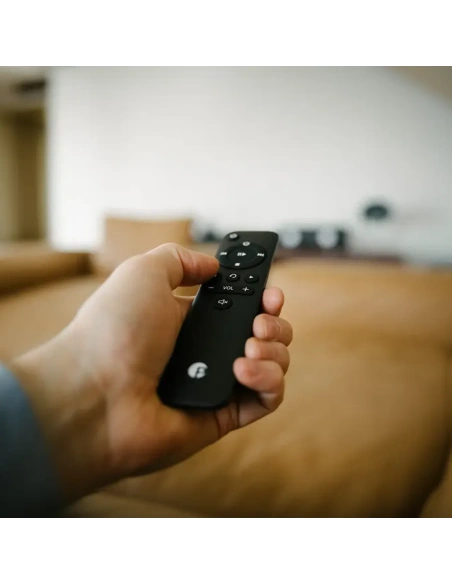 Pro-Ject STEREO BOX E Silver