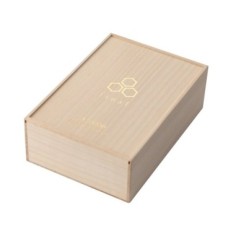 Final Audio A10000 Collector 2