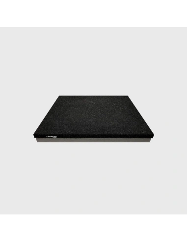 Thorens TAB1600 - Absorber Base