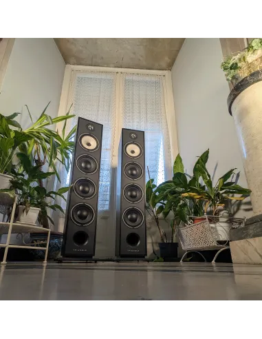 (DEMO) Triangle Borea BR09 - Black