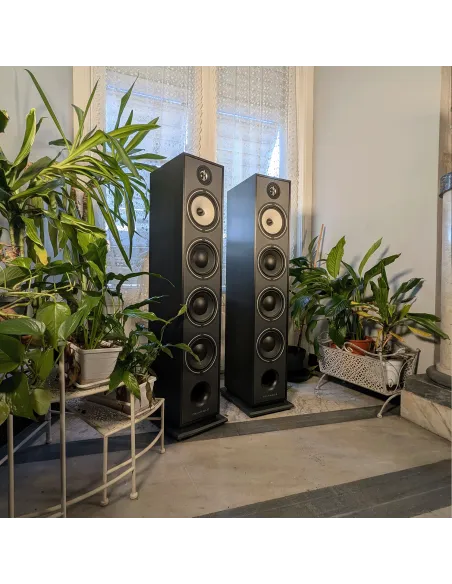 (DEMO) Triangle Borea BR09 - Black