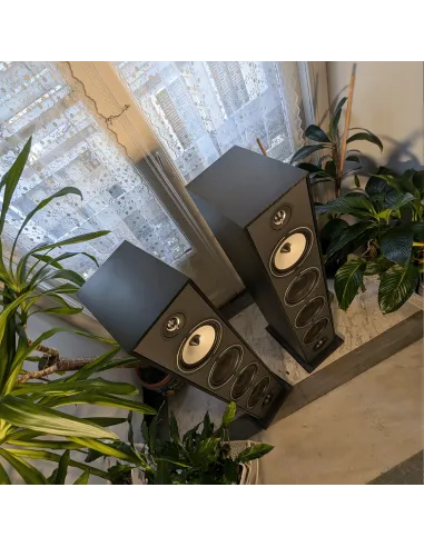 (DEMO) Triangle Borea BR09 - Black