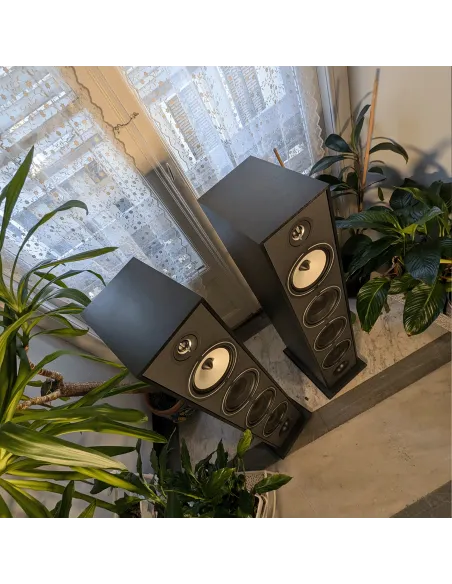 (DEMO) Triangle Borea BR09 - Black