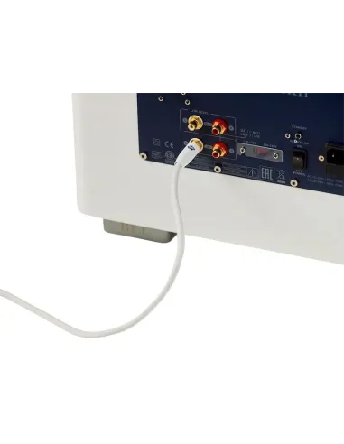 REL ACOUSTICS Commander .1/LFE Bianco 8mt