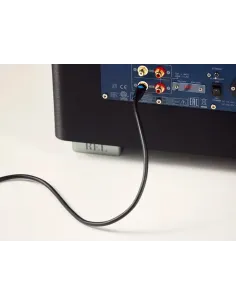 REL ACOUSTICS Commander .1/LFE Nero 12mt 2