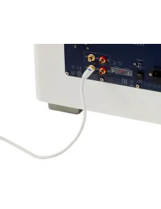 REL ACOUSTICS Commander .1/LFE Bianco 12mt 2