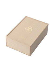 Final Audio A10000 Collector 2