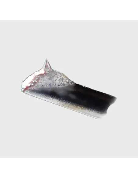 JICO SETO-HORI REMODEL