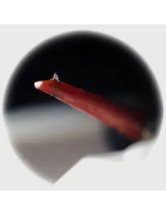 JICO J50 YURUSHI-IRO NUDE 2