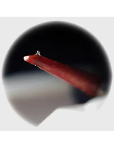 JICO J50 YURUSHI-IRO NUDE