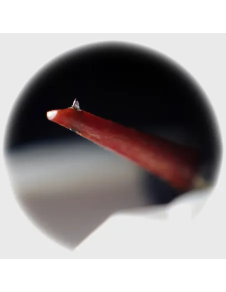 JICO J50 YURUSHI-IRO NUDE