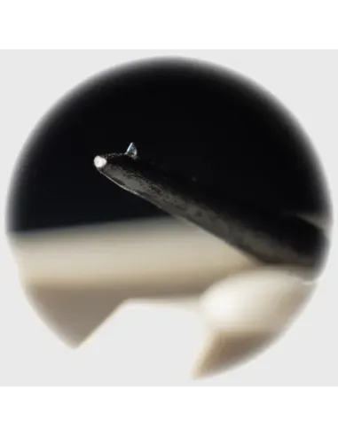 JICO J50 KUROGAKI NUDE