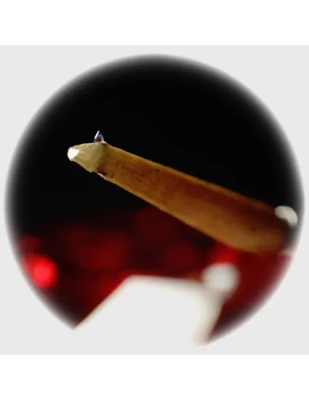 JICO J50 USHIKOROSHI NUDE